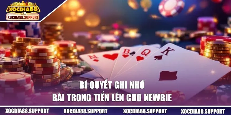 Bí quyết ghi nhớ bài trong tiến lên cho newbie